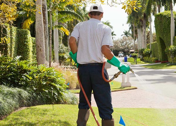 About Valley Center CA Pest Control Pros